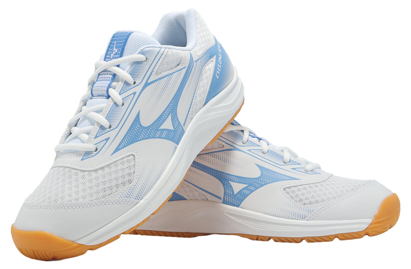 longeryiteng5 専用　Mizuno BEYOND Mizuno Wave Ibuki 5 Men