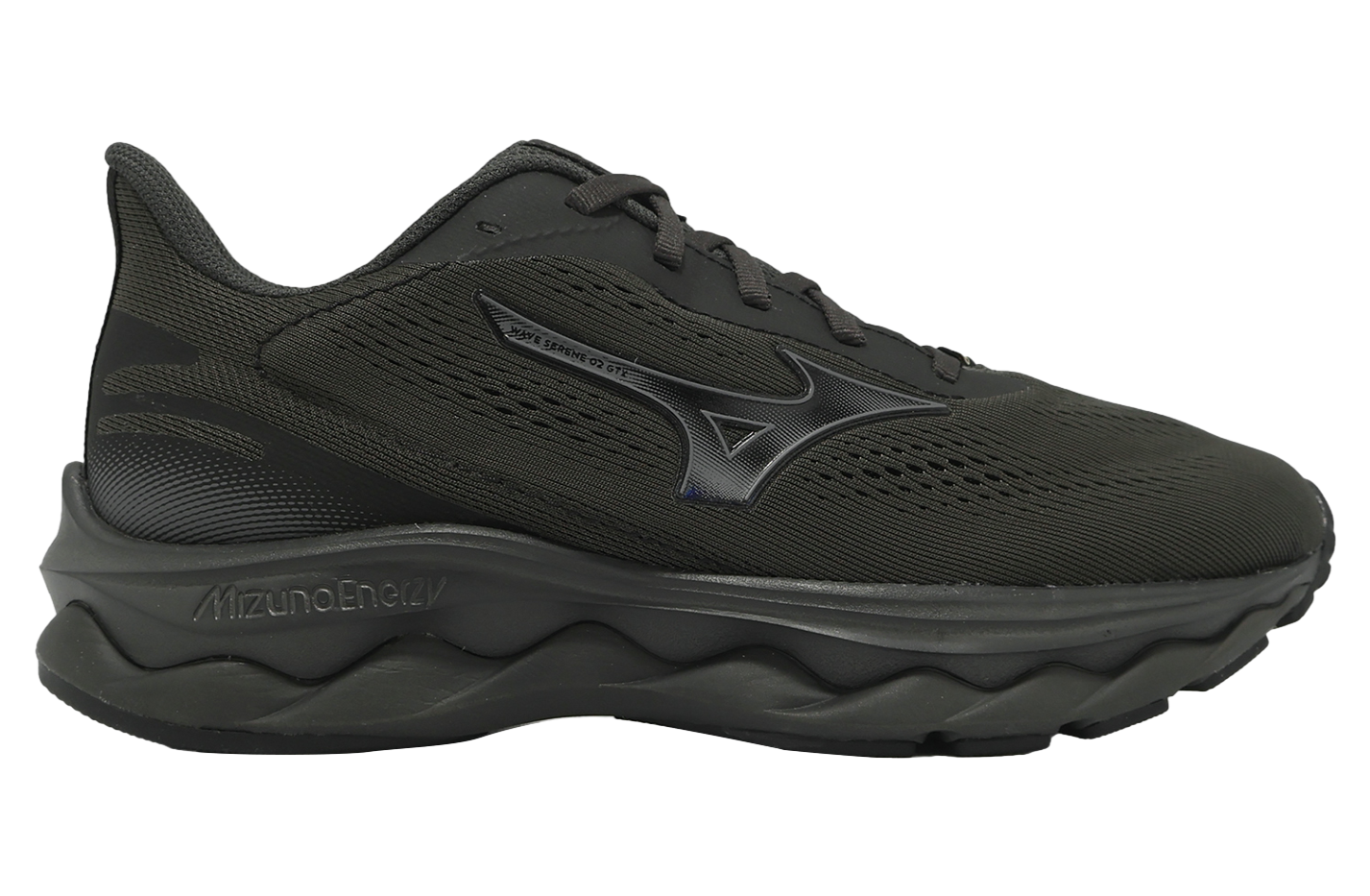 Mizuno Wave Serene 2 GTX WMNS Black / Grey - May 2025