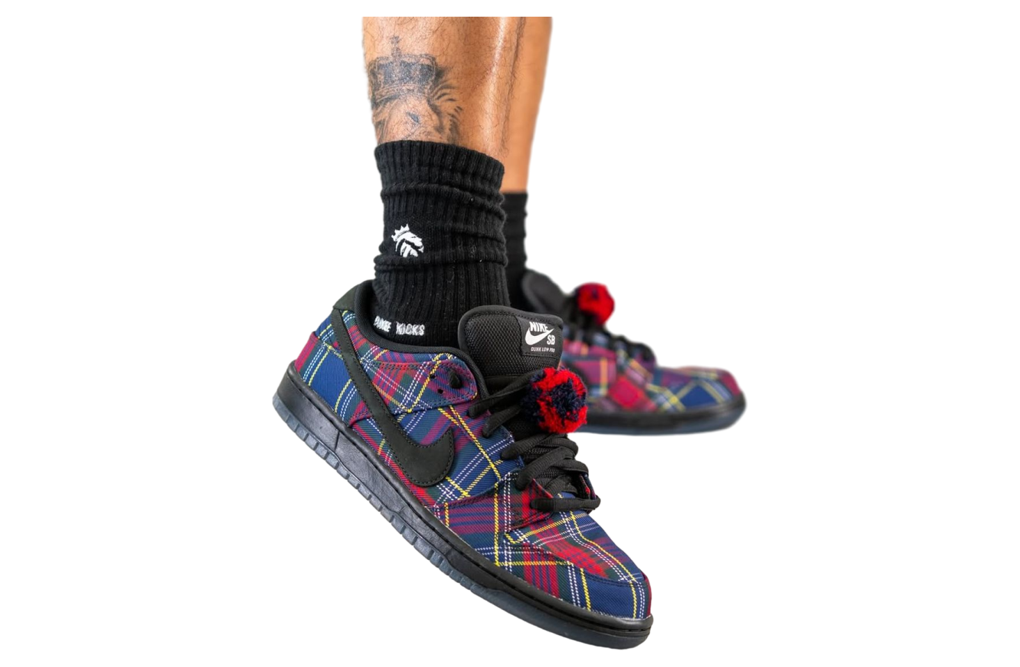 Nardwuar x Nike SB Dunk Low Pro