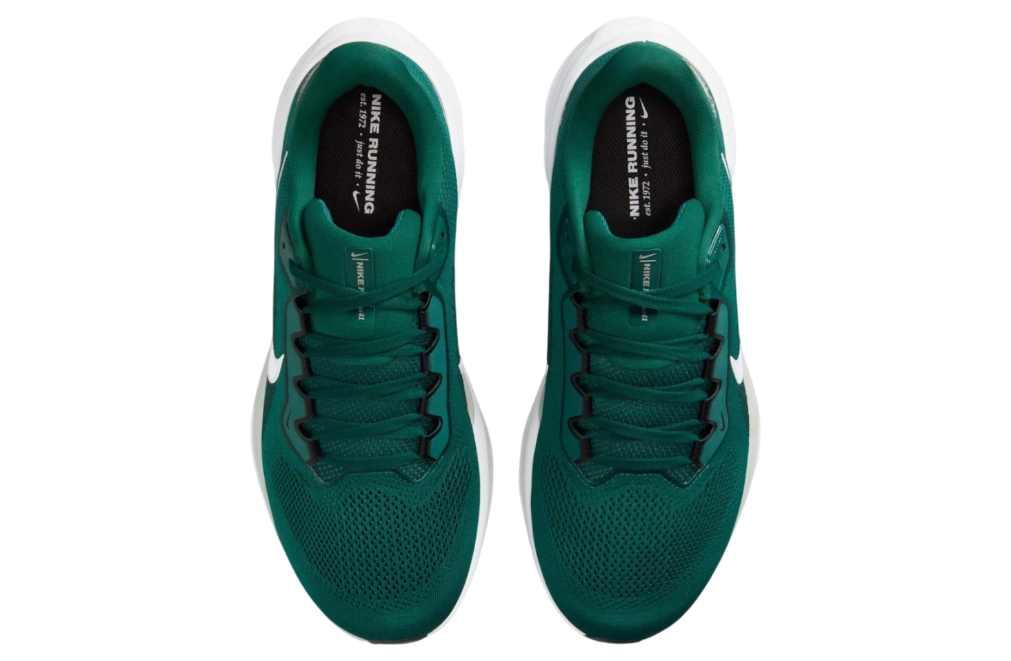 Nfl X Nike Pegasus 41 Philadelphia Eagles