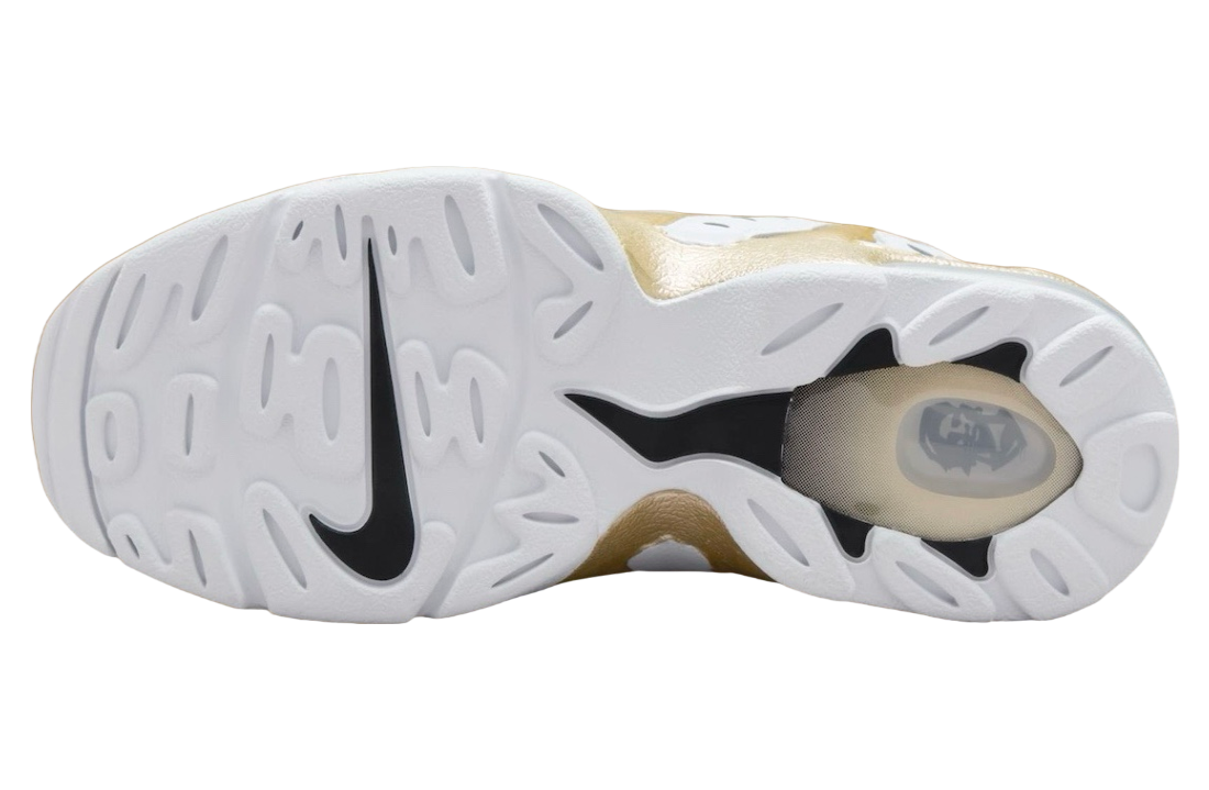 Nike Air DT Max 96 Colorado Away