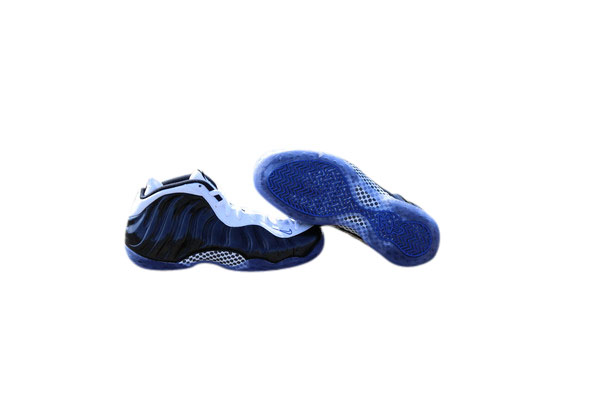 Nike Air Foamposite One - Concord 314996005