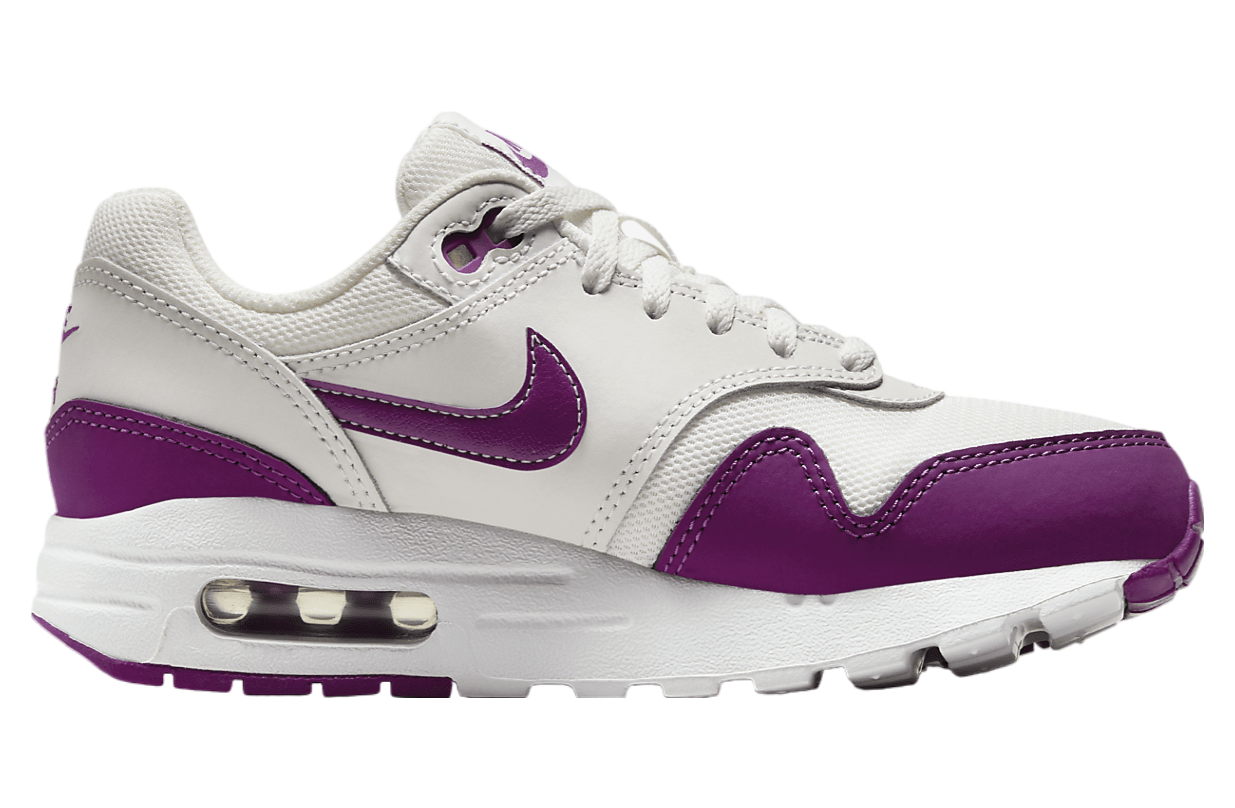 Nike Air Max 1 GS Summit White / Viotech