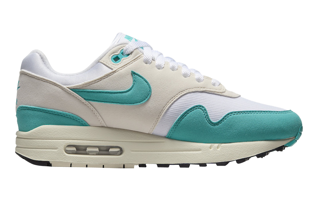 Nike Air Max 1 WMNS Dusty Cactus DZ2628-107