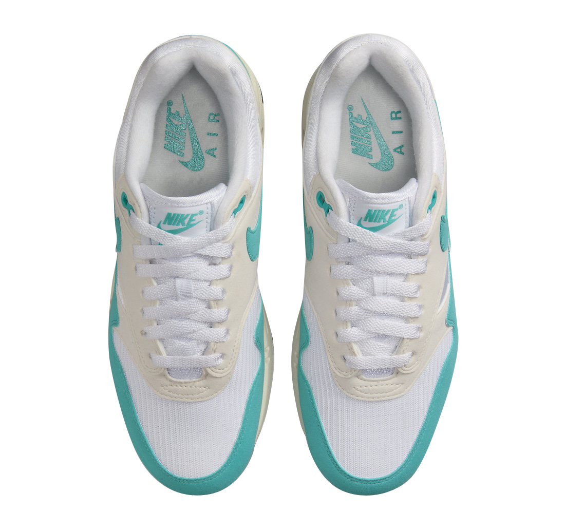 Nike Air Max 1 WMNS Dusty Cactus