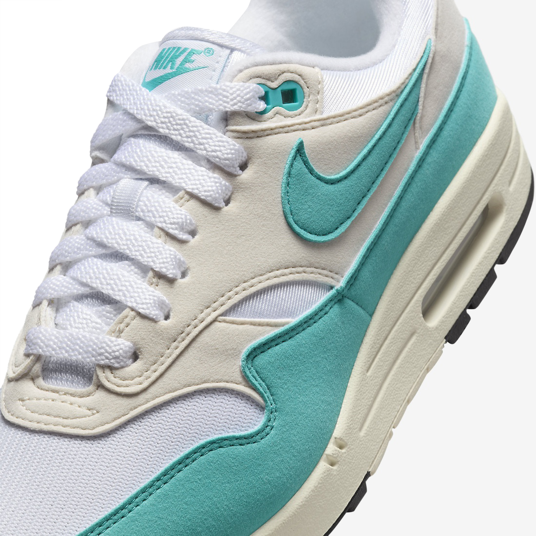 Nike Air Max 1 WMNS Dusty Cactus DZ2628-107