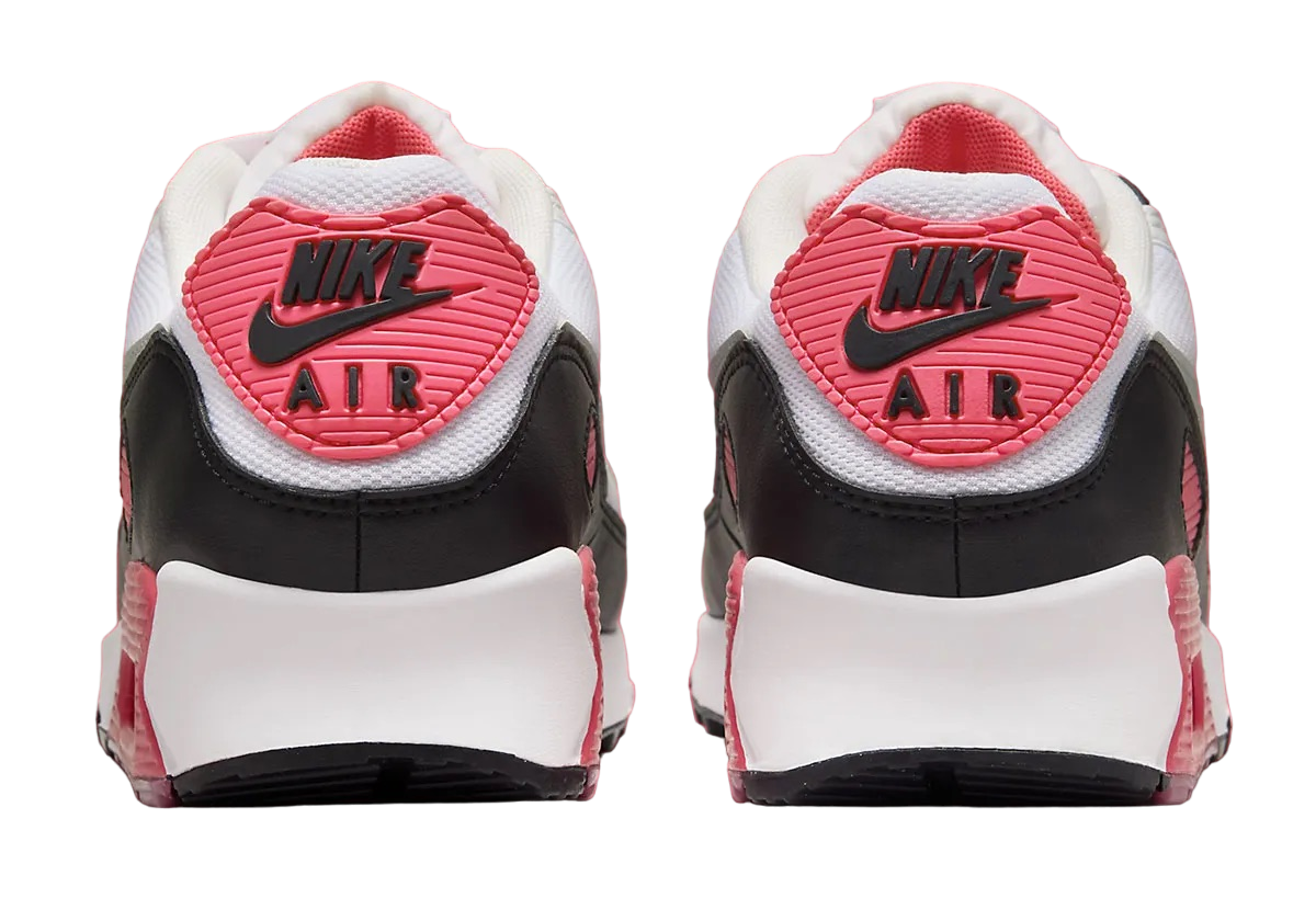 Nike Air Max 90 Aster Pink DH8010-105