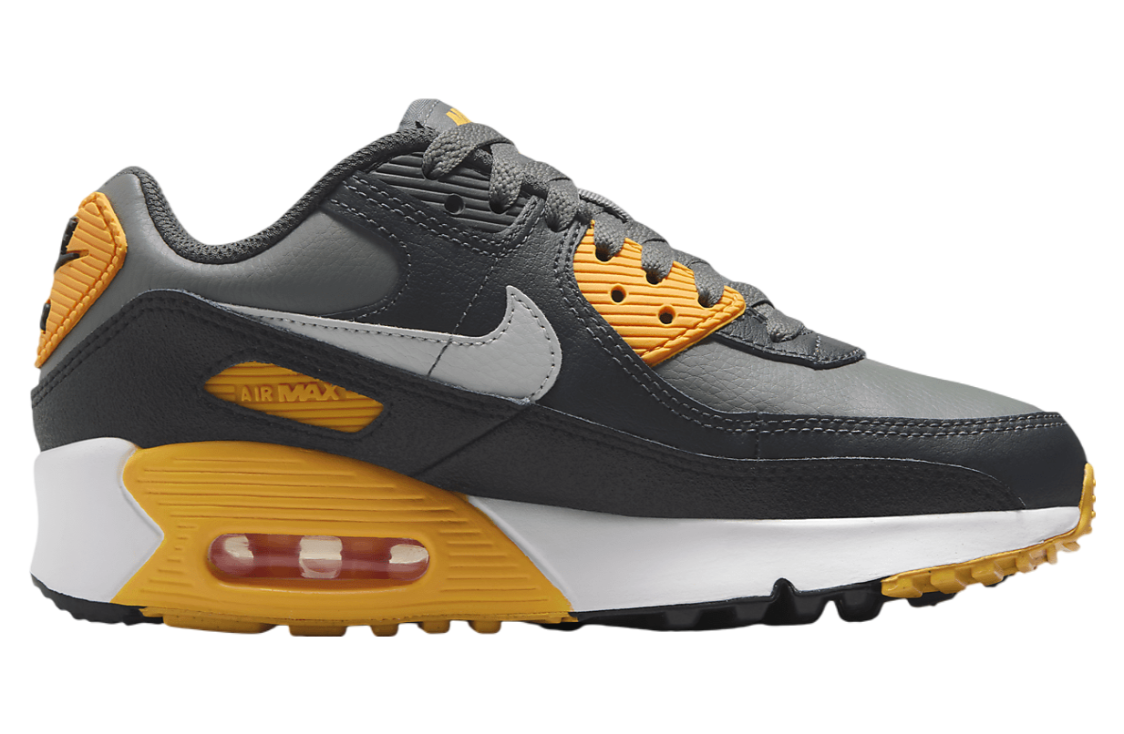 Nike Air Max 90 GS Smoke Grey / Anthracite