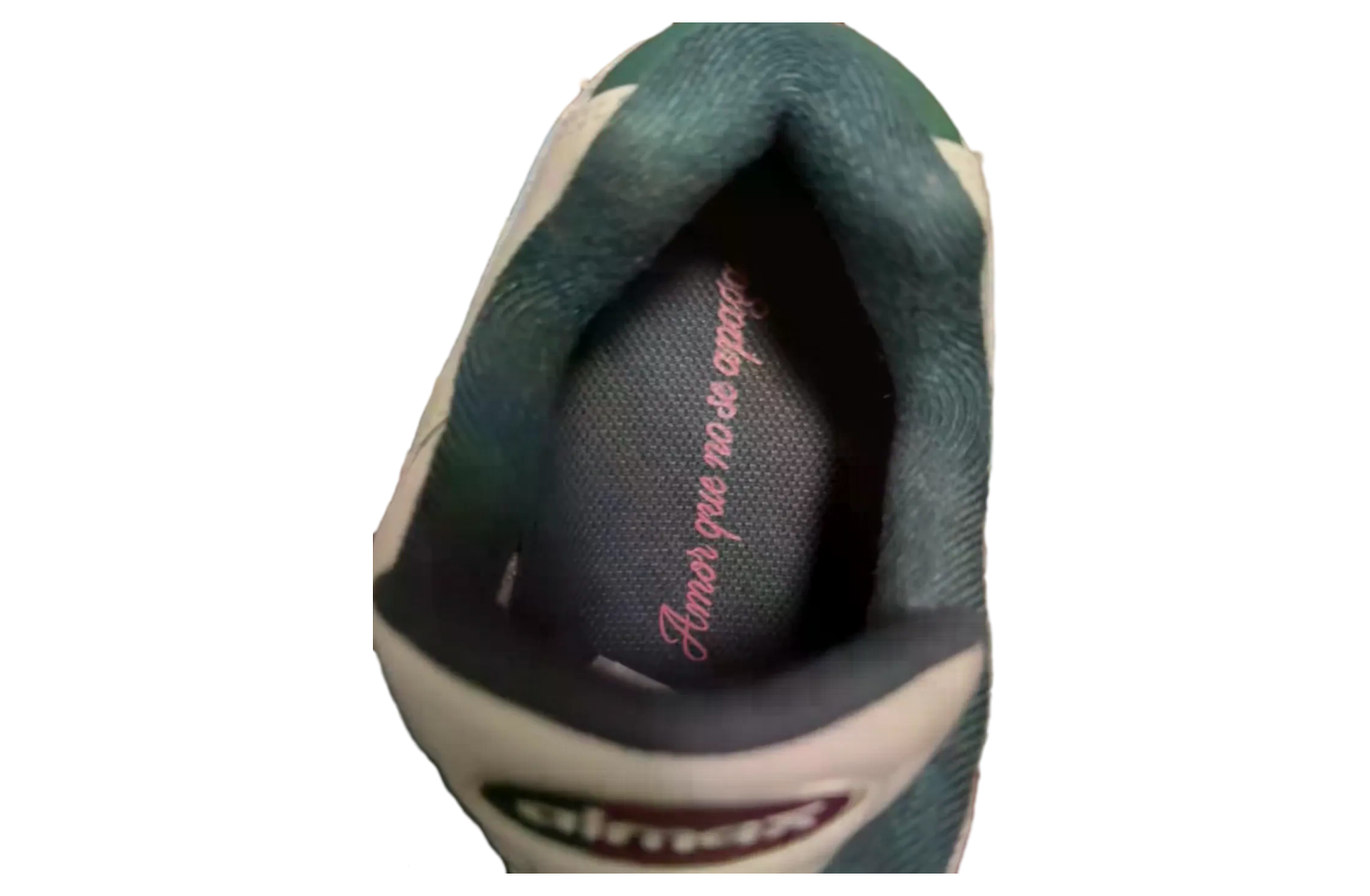 Nike Air Max 95 Mexico