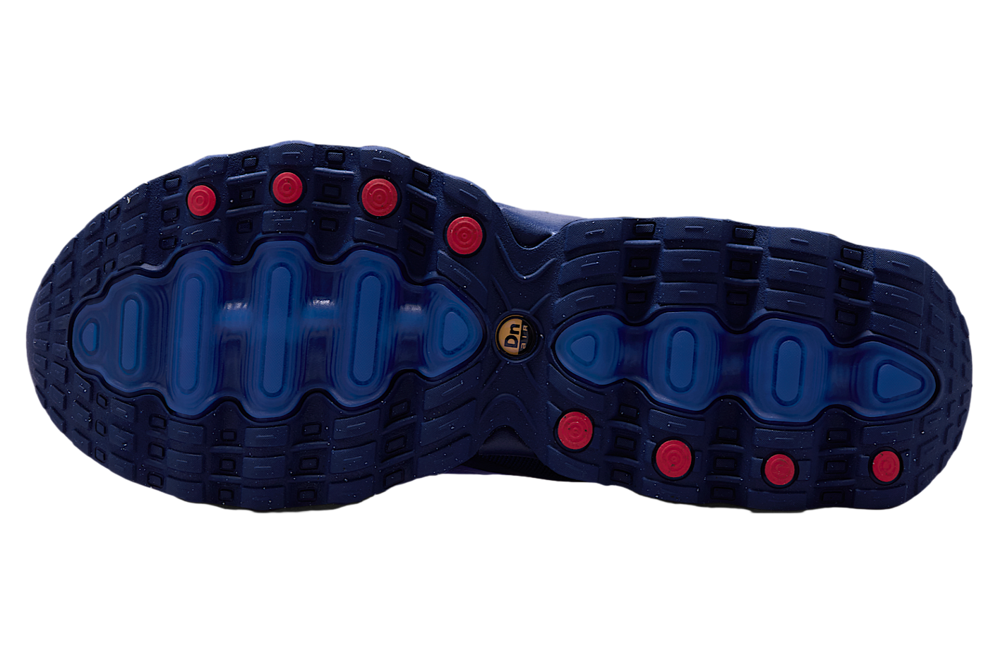 Nike Air Max Dn8 Racer Blue / Loyal Blue