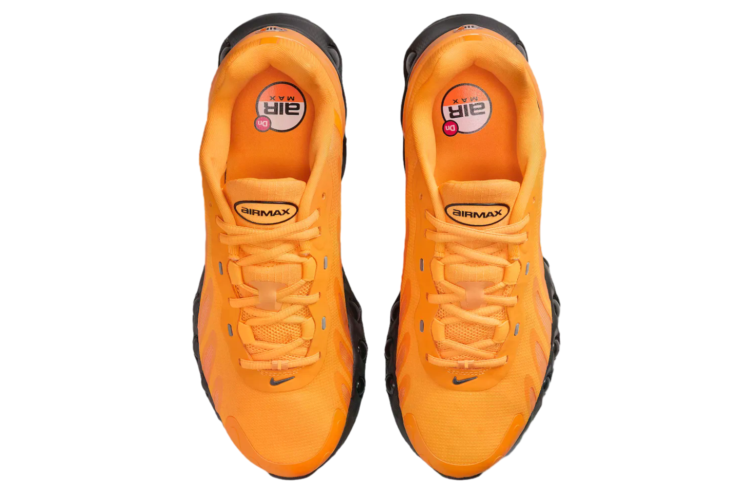 Nike Air Max Dn8 Sundial / Dark Smoke Grey