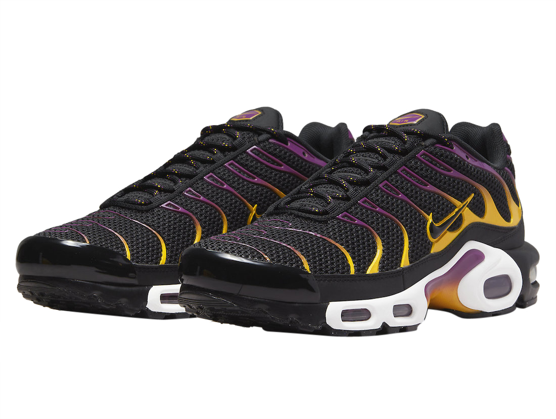 Nike Air Max Plus Black Purple