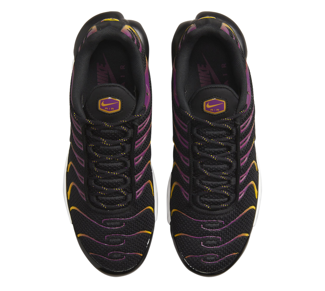 Nike Air Max Plus Black Purple DX2663-001