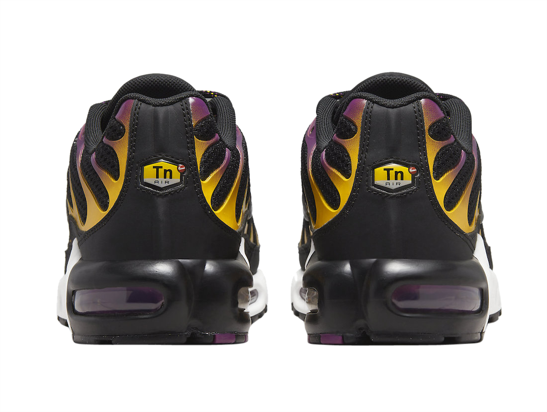 Nike Air Max Plus Black Purple DX2663-001