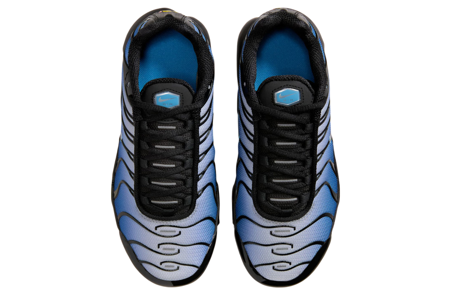 Nike Air Max Plus Black/ Royal Pulse