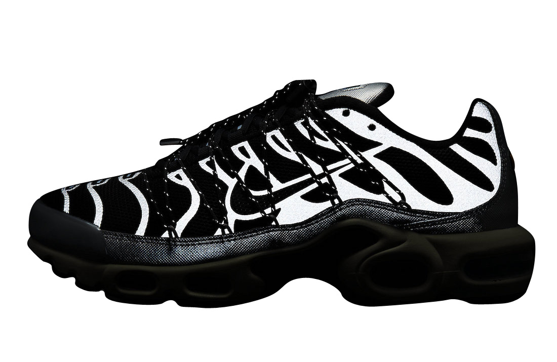 Nike Air Max Plus Black Silver FD0799-001