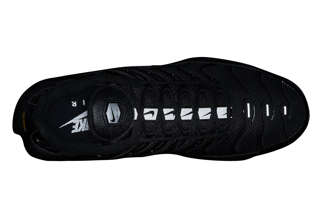 Nike Air Max Plus Black Silver DX8971-001
