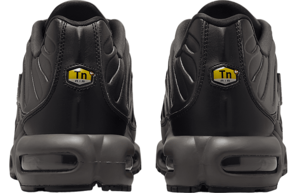 Nike Air Max Plus Black Tea