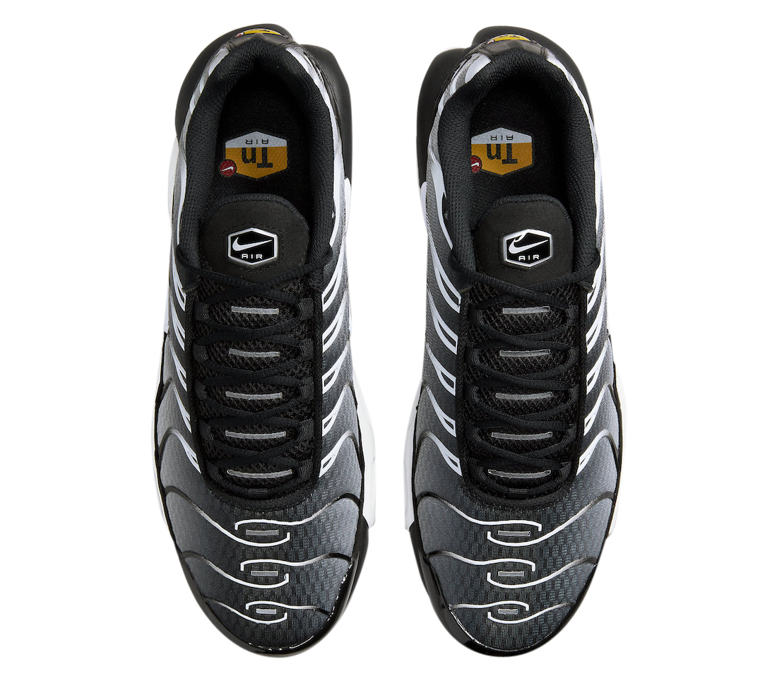 Nike Air Max Plus Black White Gradient DM0032-003 - KicksOnFire.com