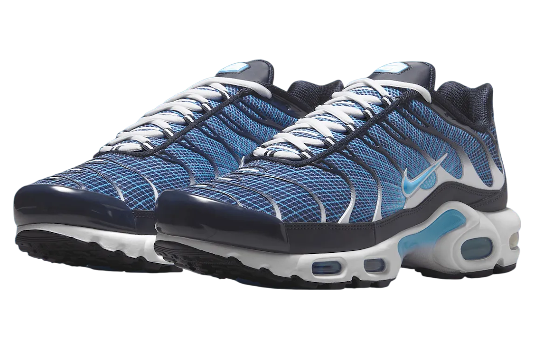 Nike Air Max Plus Dark Obsidian / Blue Chill