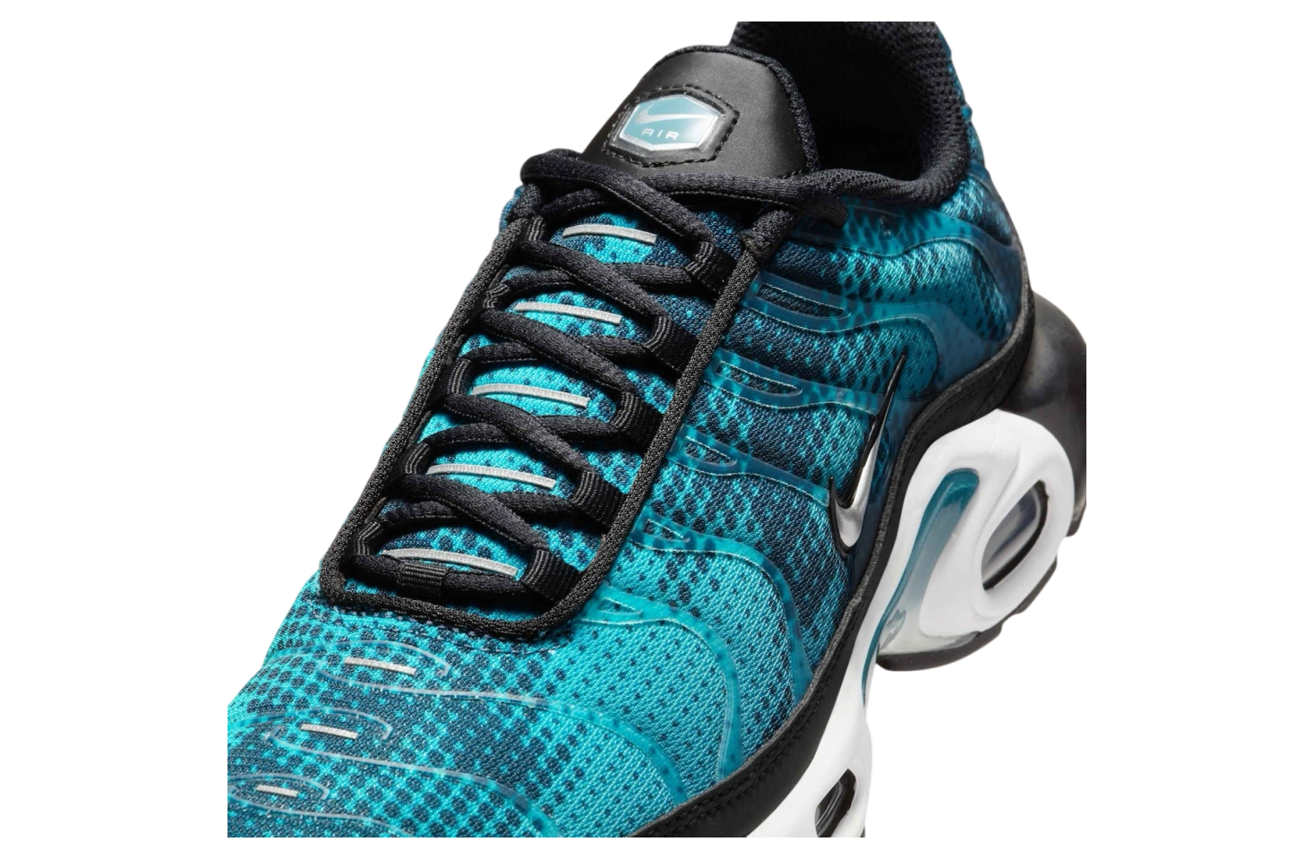 Nike Air Max Plus Dot Pattern Black / Blue