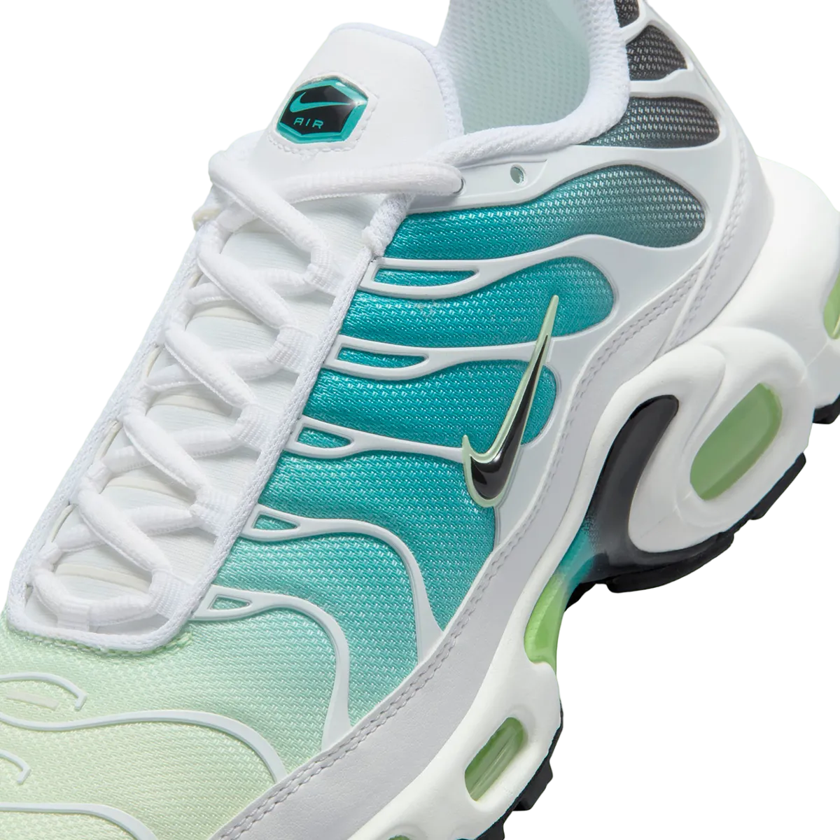 Nike Air Max Plus Dusty Cactus