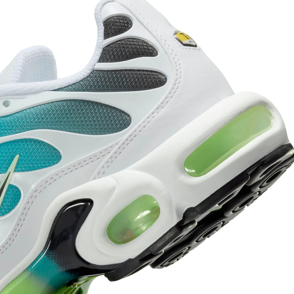 Nike Air Max Plus Dusty Cactus