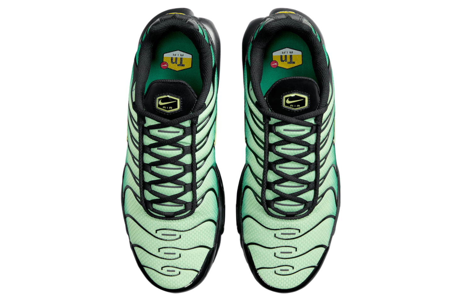Nike Air Max Plus Green Gradient