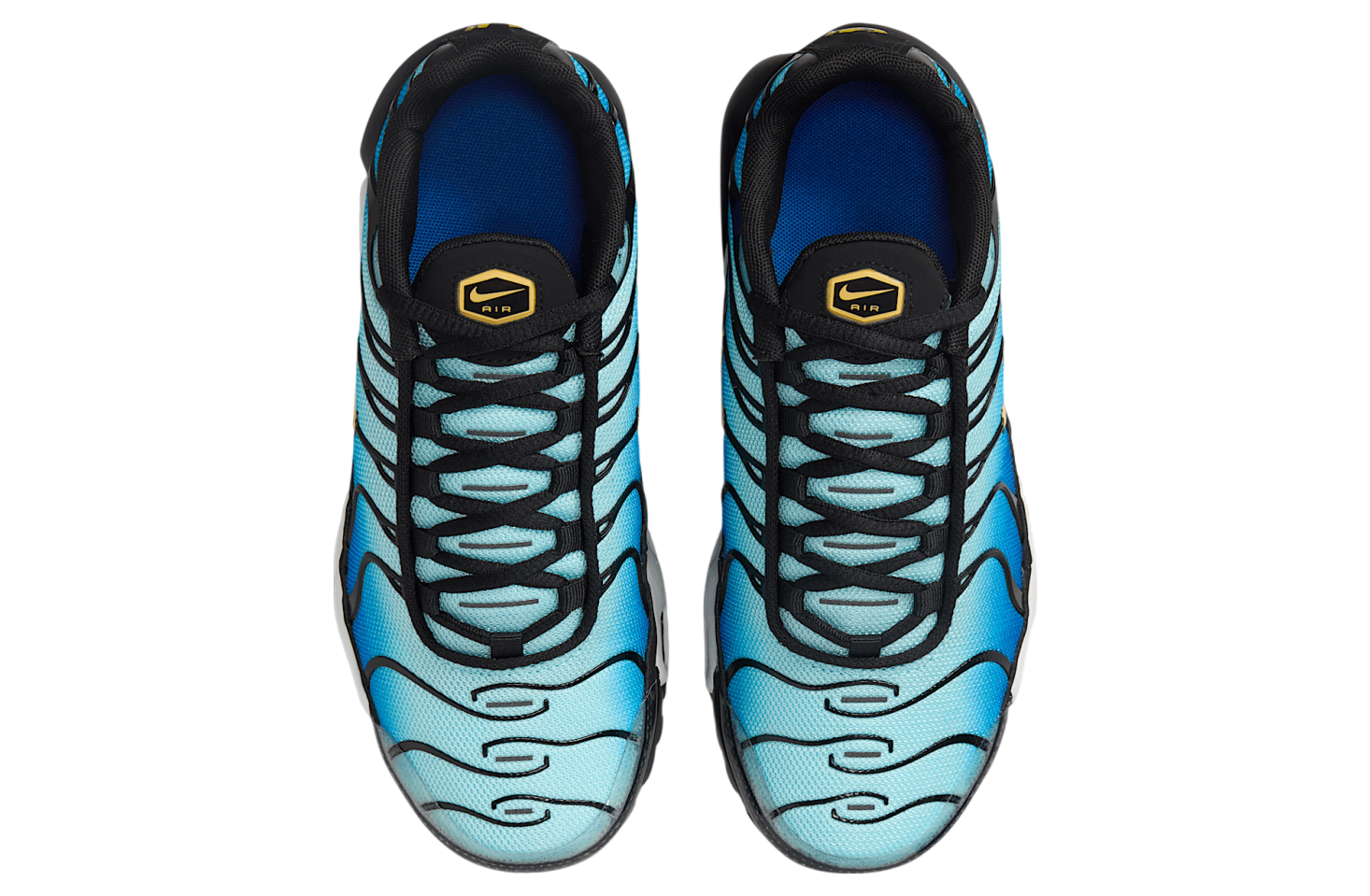 Nike Air Max Plus GS Black / Sky Blue