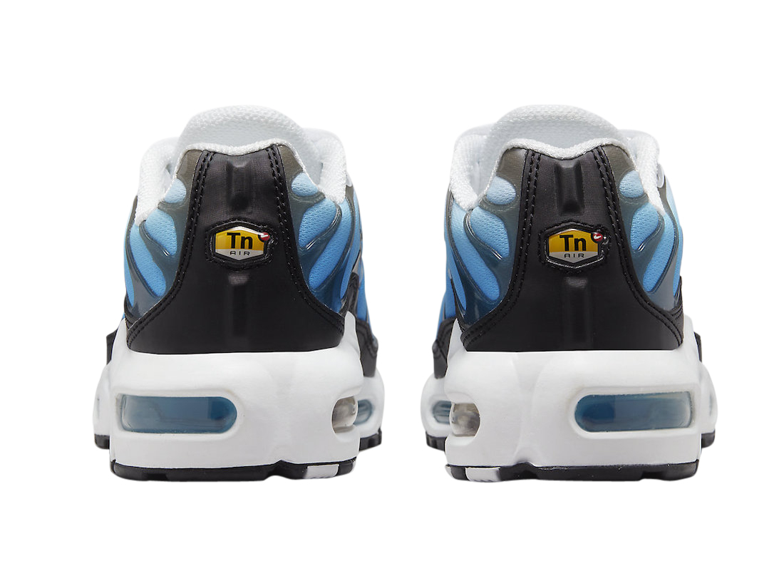 Nike Air Max Plus GS Ice