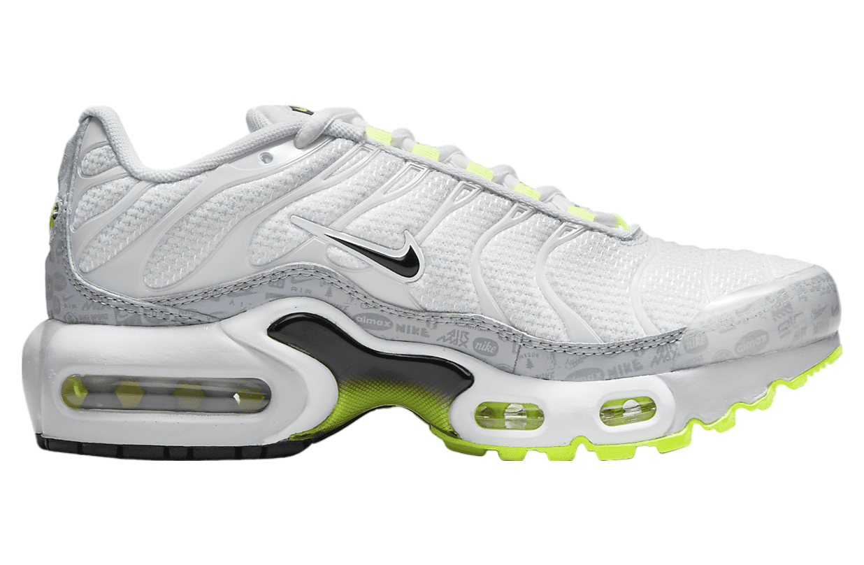 Nike Air Max Plus GS Pure Platinum / Wolf Grey