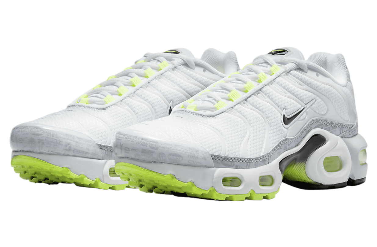 Nike Air Max Plus GS Pure Platinum / Wolf Grey