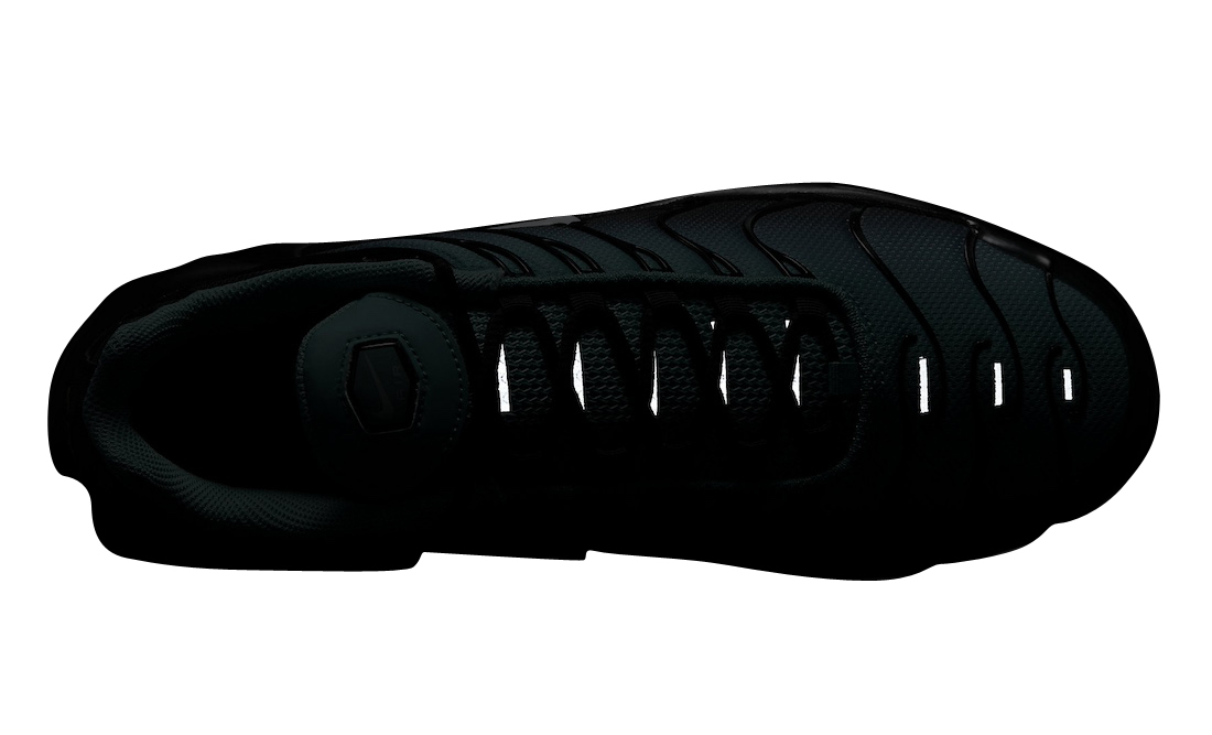 Nike Air Max Plus Light Retro - Dec. 2023 - DM0032-401