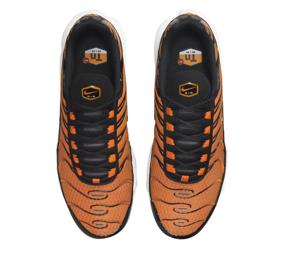 Nike Air Max Plus Orange Black DM0032-800