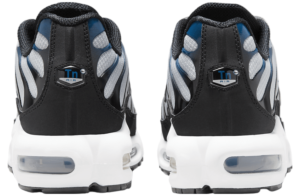 Nike Air Max Plus Pure Platinum / Court Blue