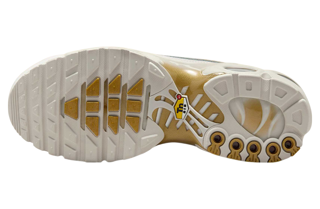 Nike Air Max Plus Tiempo Phantom / Metallic Gold