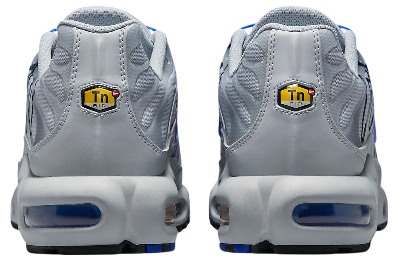 Nike Air Max Plus Wolf Grey / Anthracite
