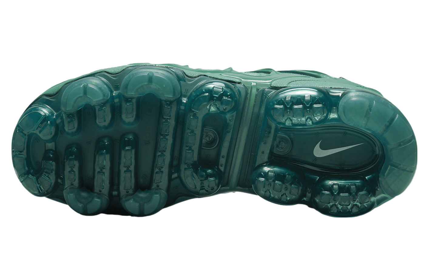 Nike Air VaporMax Plus WMNS Bicoastal / Metallic Silver