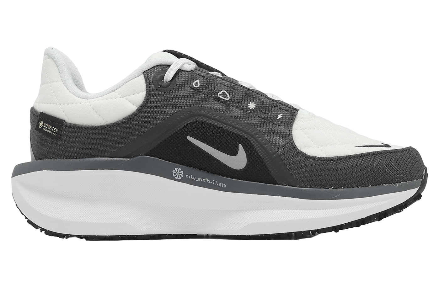 Nike Air Winflo 11 GTX WMNS Anthracite / Metallic Silver