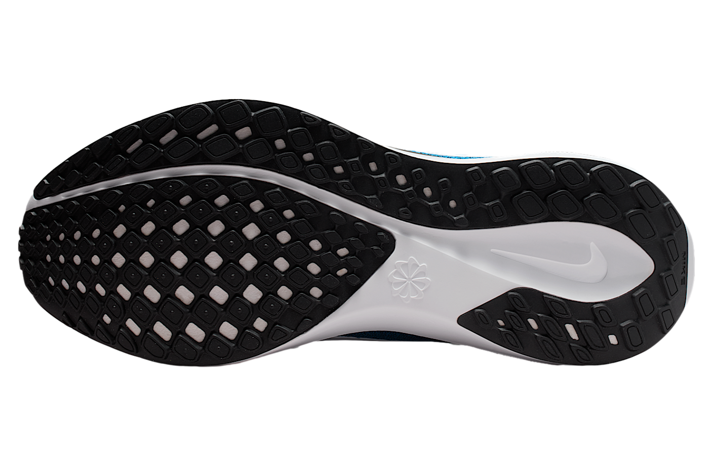 Nike Carolina Panthers Pegasus 41 Neptune Blue / Black