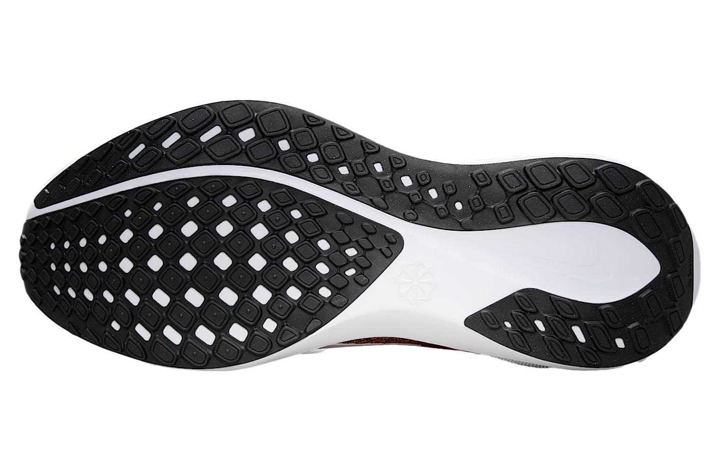 Nike Cincinnati Bengals Pegasus 41 Black / Team Orange