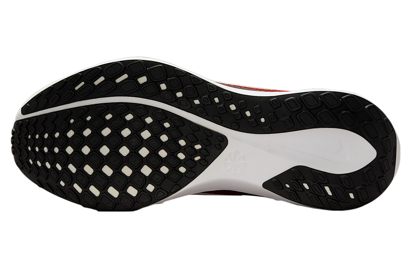 Nike Cleveland Browns Pegasus 41 Team Orange / Seal Brown