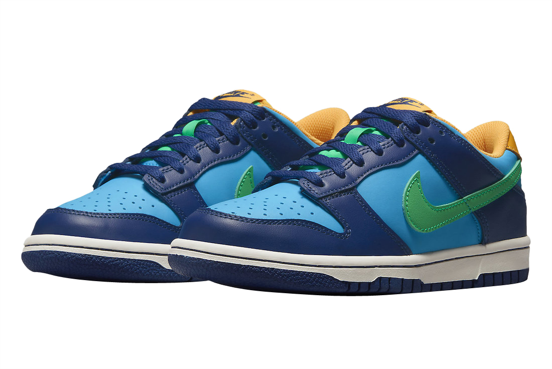 Nike Dunk Low GS Hoops