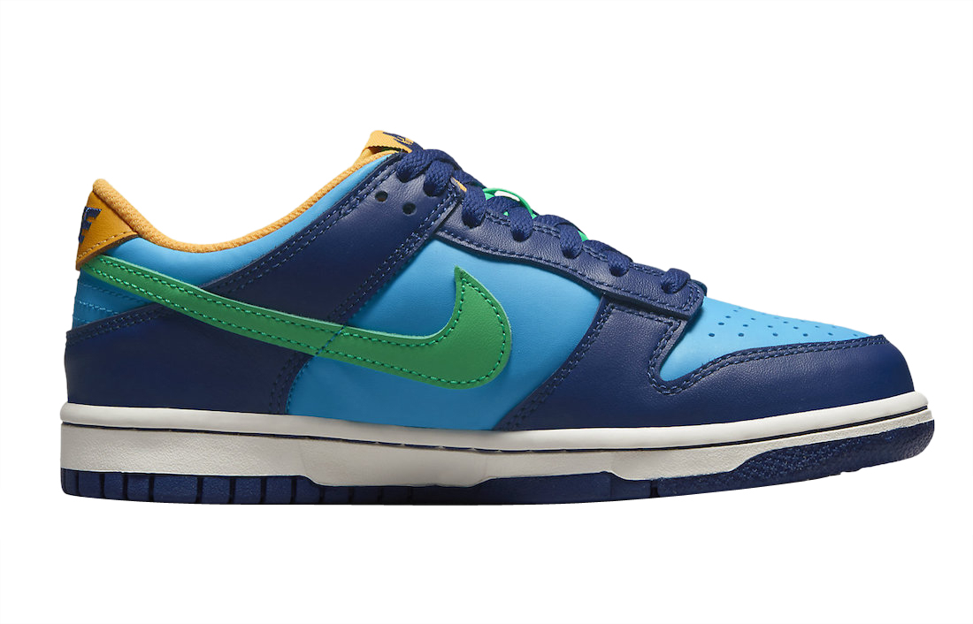 Nike Dunk Low GS Hoops