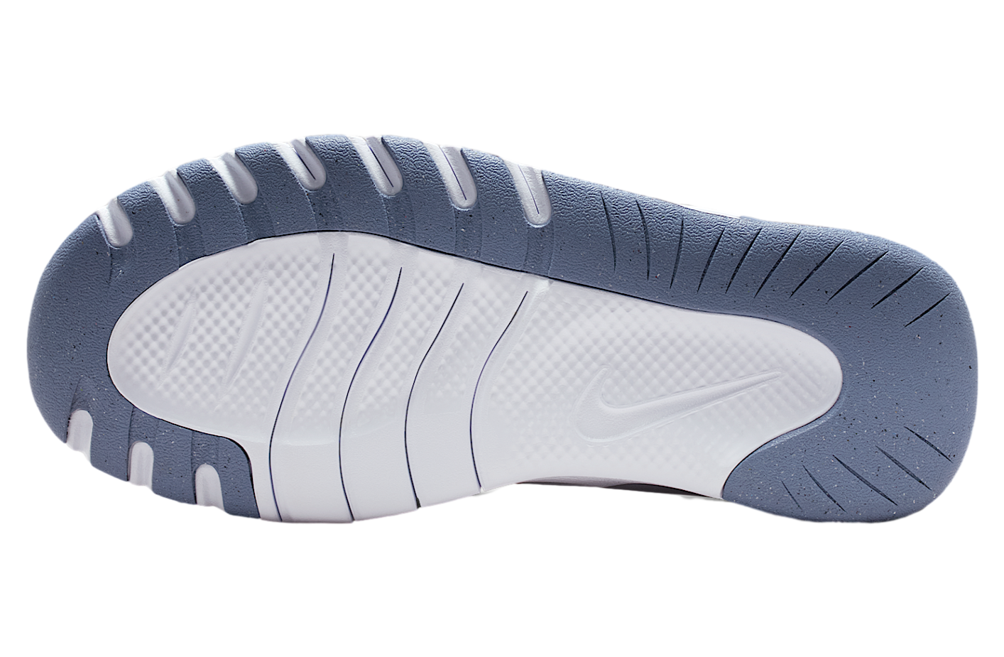 Nike Flex Train WMNS Aluminum / World Indigo