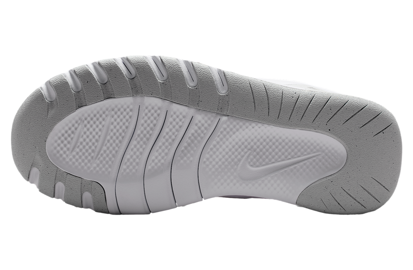 Nike Flex Train WMNS White / Photon Dust