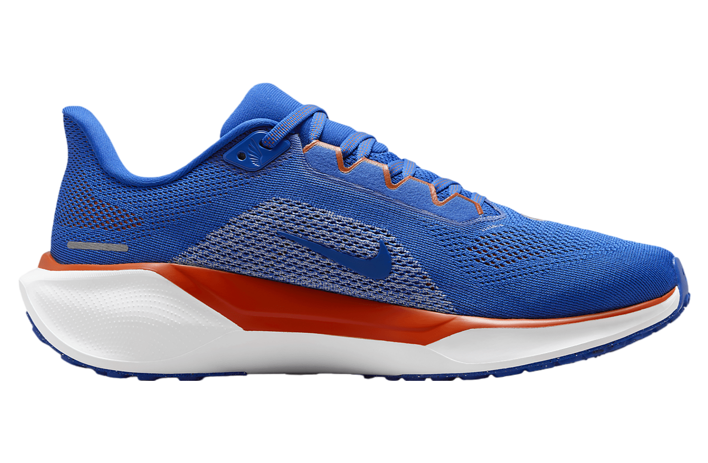 Nike Florida Pegasus 41 Game Royal / White