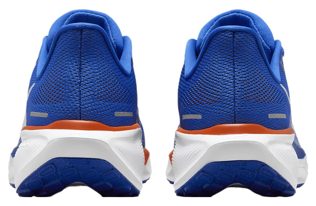 Nike Florida Pegasus 41 Game Royal / White