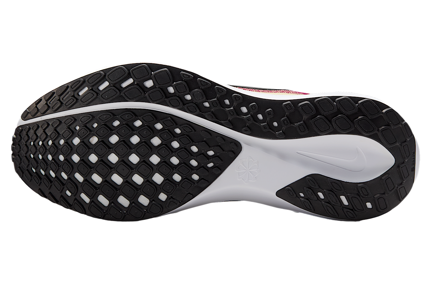 Nike Florida State Pegasus 41 Team Maroon / Team Gold