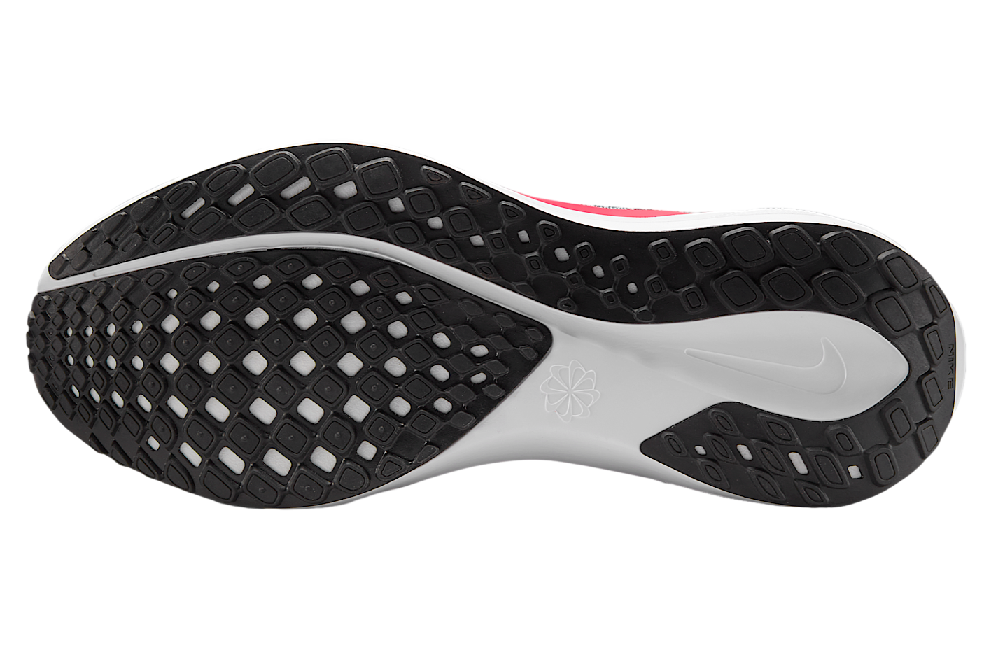 Nike Georgia Pegasus 41 Black / University Red